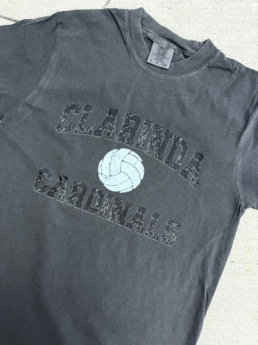 cardinal volleyball